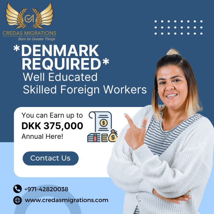 Jasa Urus Visa Denmark