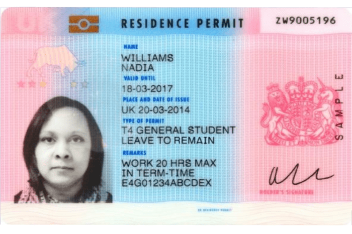 Permit citizens permits brexit joined nationals