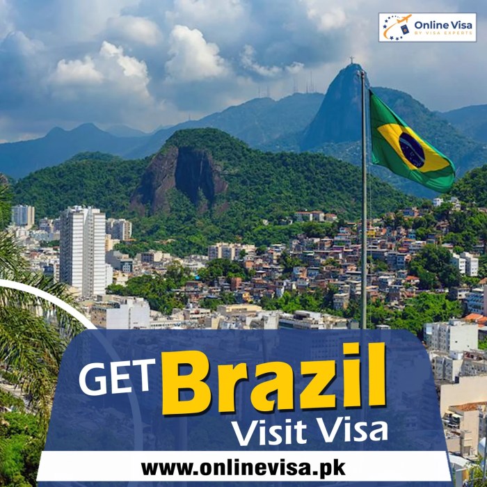 Jasa Urus Visa Brazil