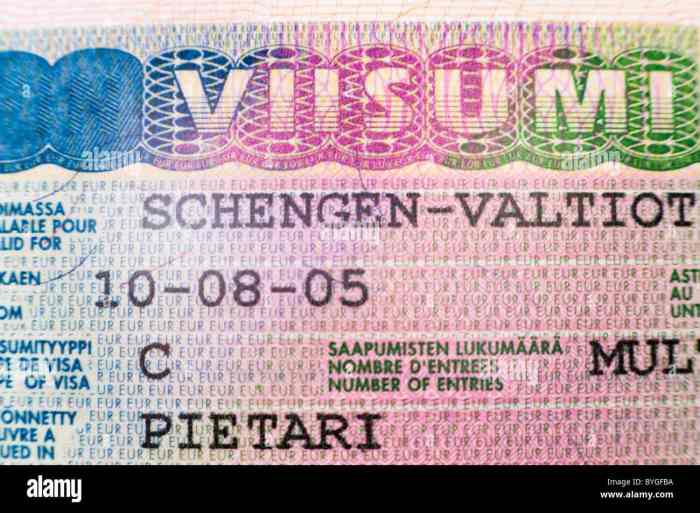 Jasa Urus Visa Finlandia