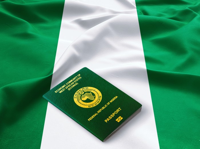 Jasa Urus Visa Nigeria