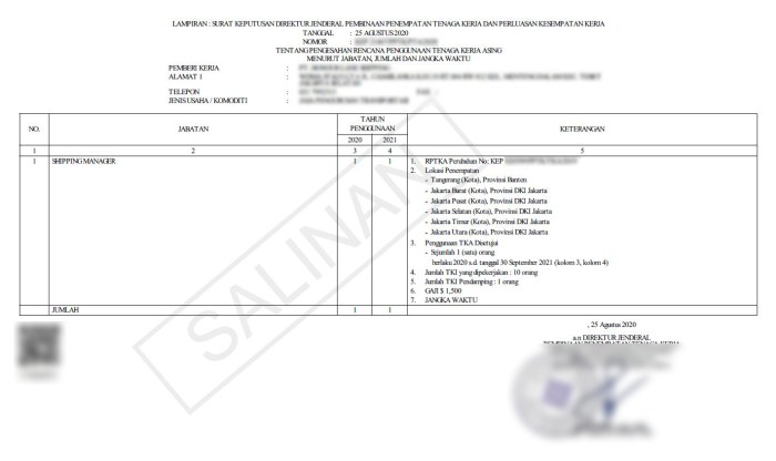 Jasa Urus RPTKA Mesir