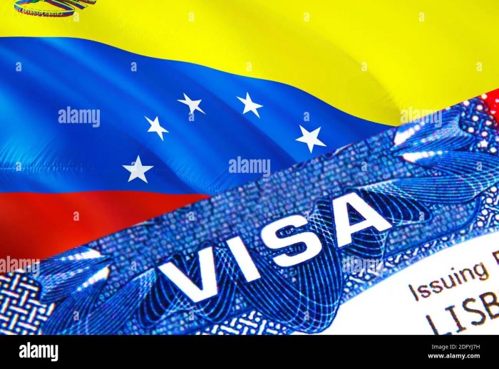 Jasa Urus Visa Venezuela