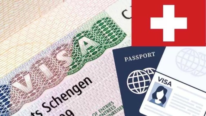 Jasa Urus Visa Swiss