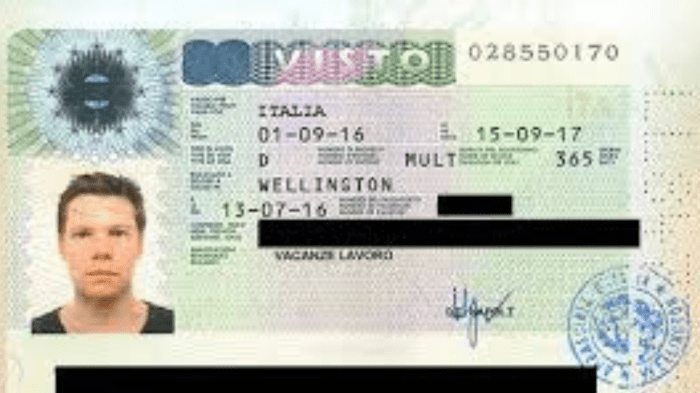 Jasa Urus Visa Italia