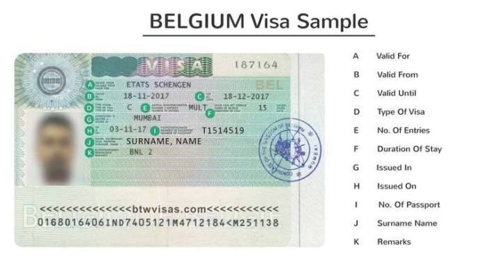 Jasa Urus Visa Belgia