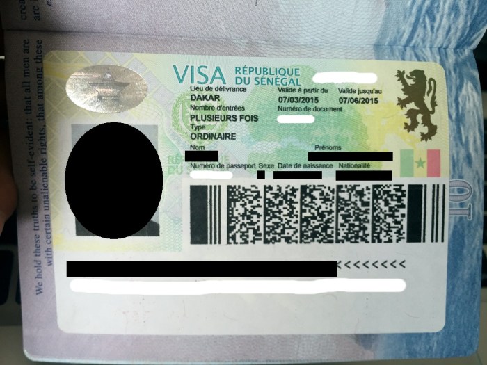 Jasa Urus Visa Senegal