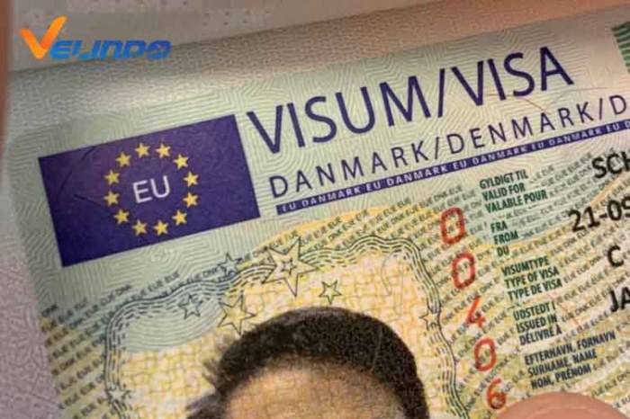 Jasa Urus Visa Denmark