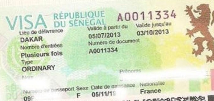 Jasa Urus Visa Senegal