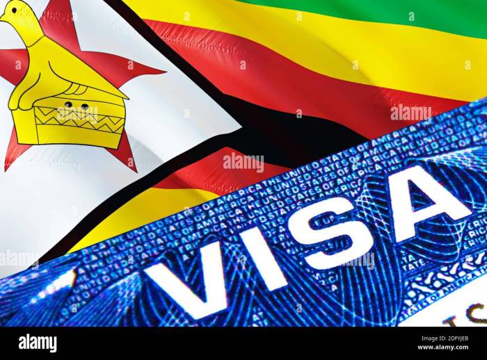 Jasa Urus Visa Zimbabwe